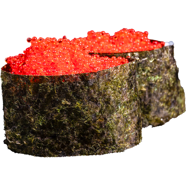 GUNKAN RED 2U